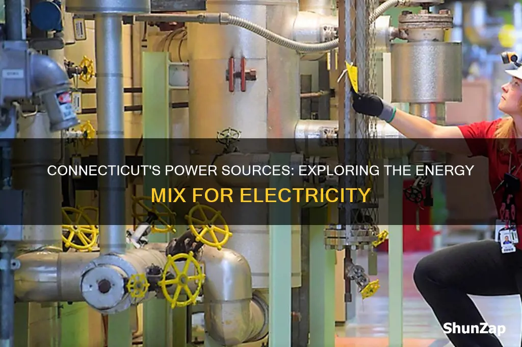 what type of energy is used for electricity in ct