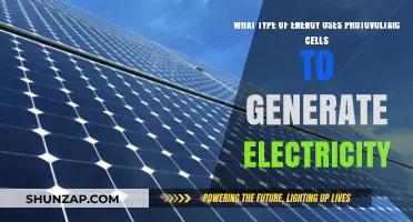 Harnessing Solar Power: How Photovoltaic Cells Generate Clean Electricity