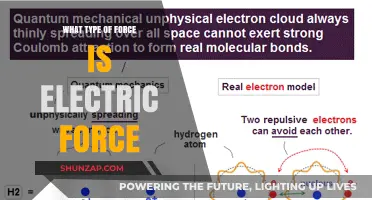 Electric Force: Understanding the Nature of Electric Interactions