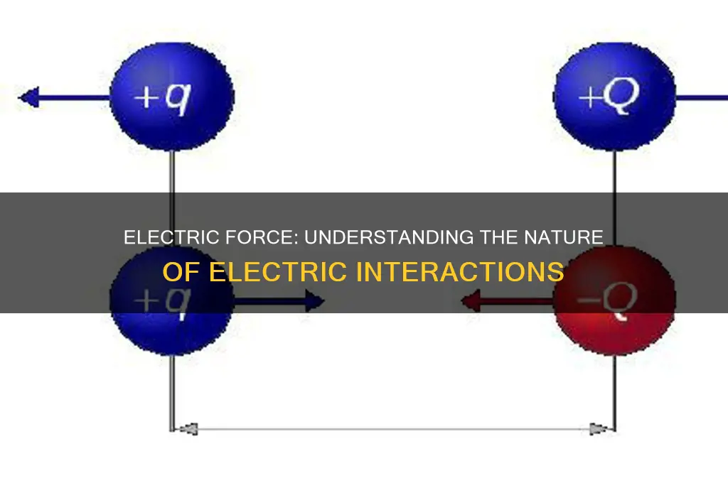 what type of force is electric force