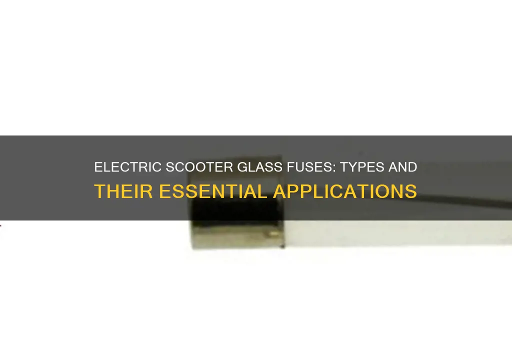 what type of glass fuses are used in electric scooters