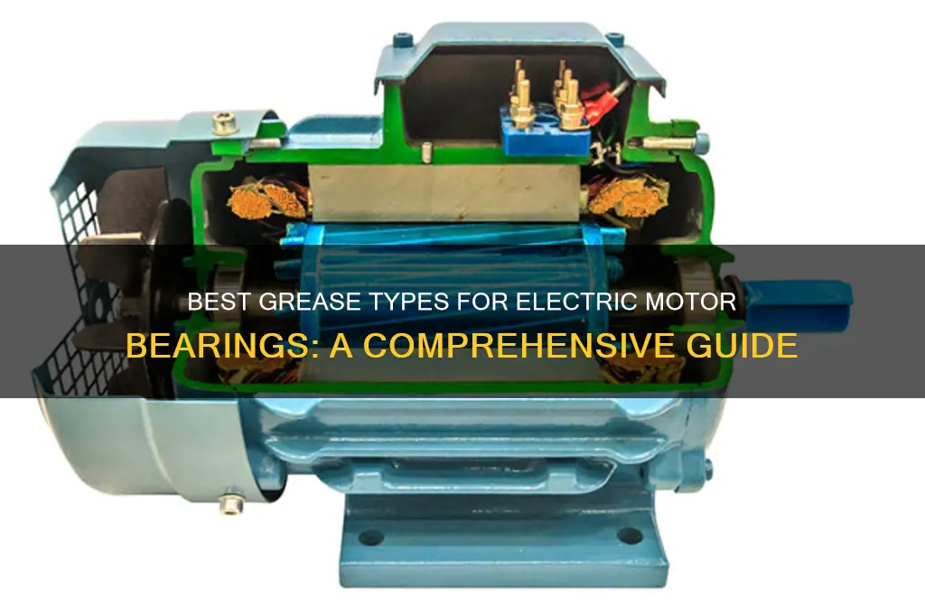 what type of grease is used in electric motor bearings