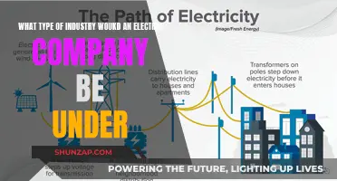 Electric Company: Sector Classification and Industry Analysis