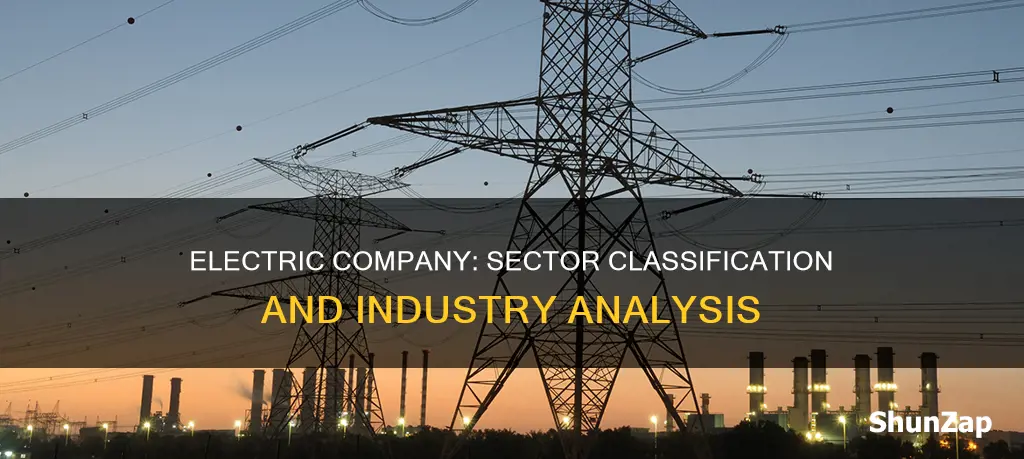 what type of industry woukd an electric company be under