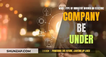 Electric Company Classification: Understanding the Industry It Belongs To