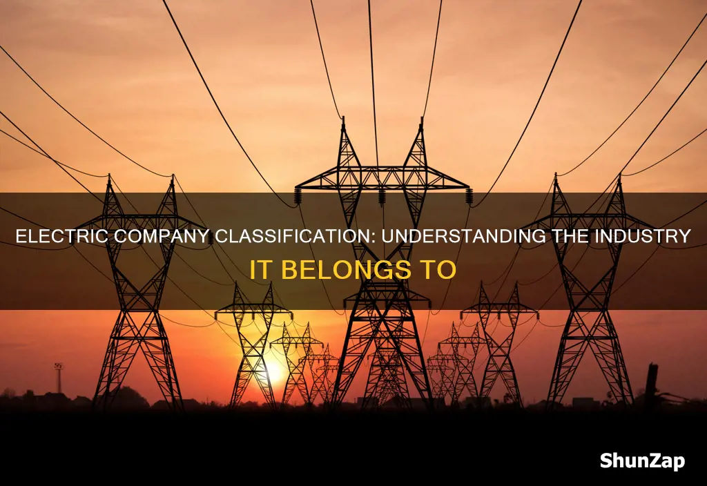 what type of industry woukd an electric company be under