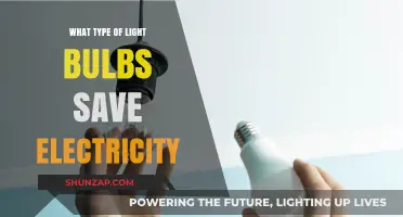 Energy-Saving Light Bulbs: How to Save Electricity