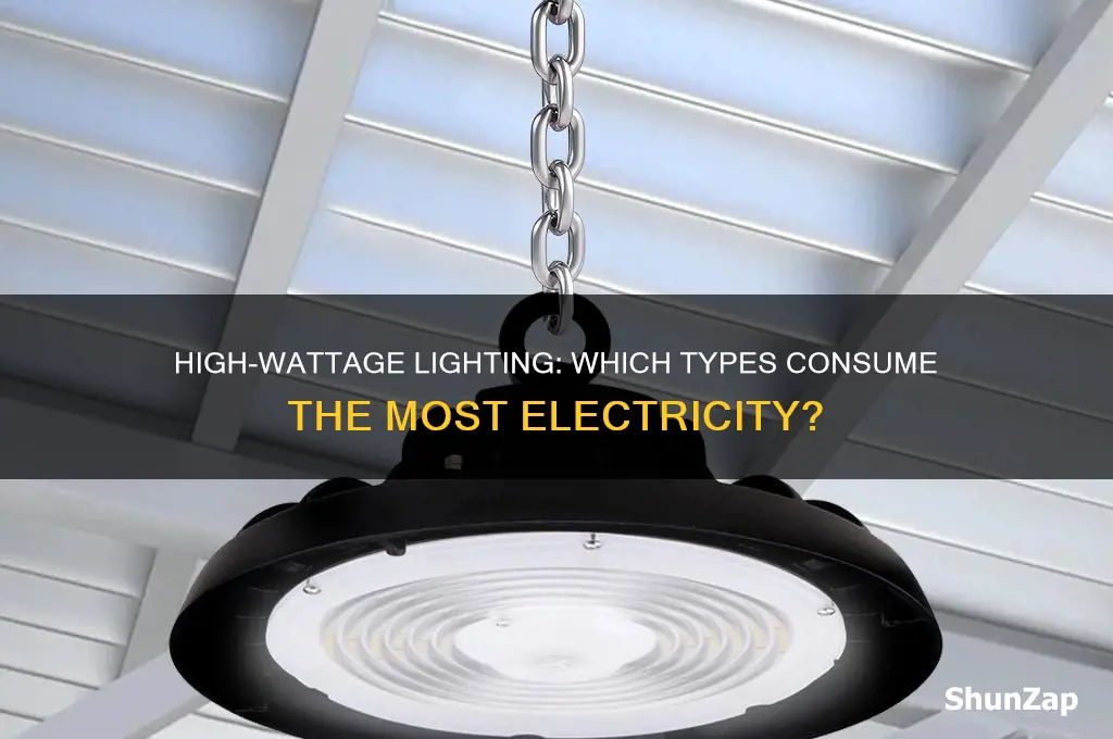 what type of lighting uses the most electricity