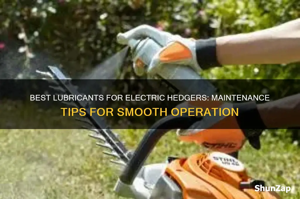 what type of lubricant can you use on electric hedger