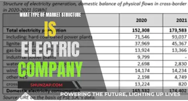 Electric Companies: Understanding Their Market Structure