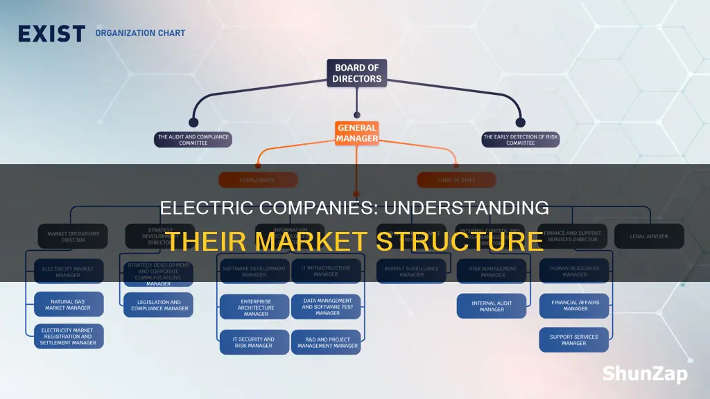 what type of market structure is electric company