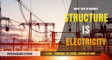 Electricity's Market Structure: A Unique Challenge