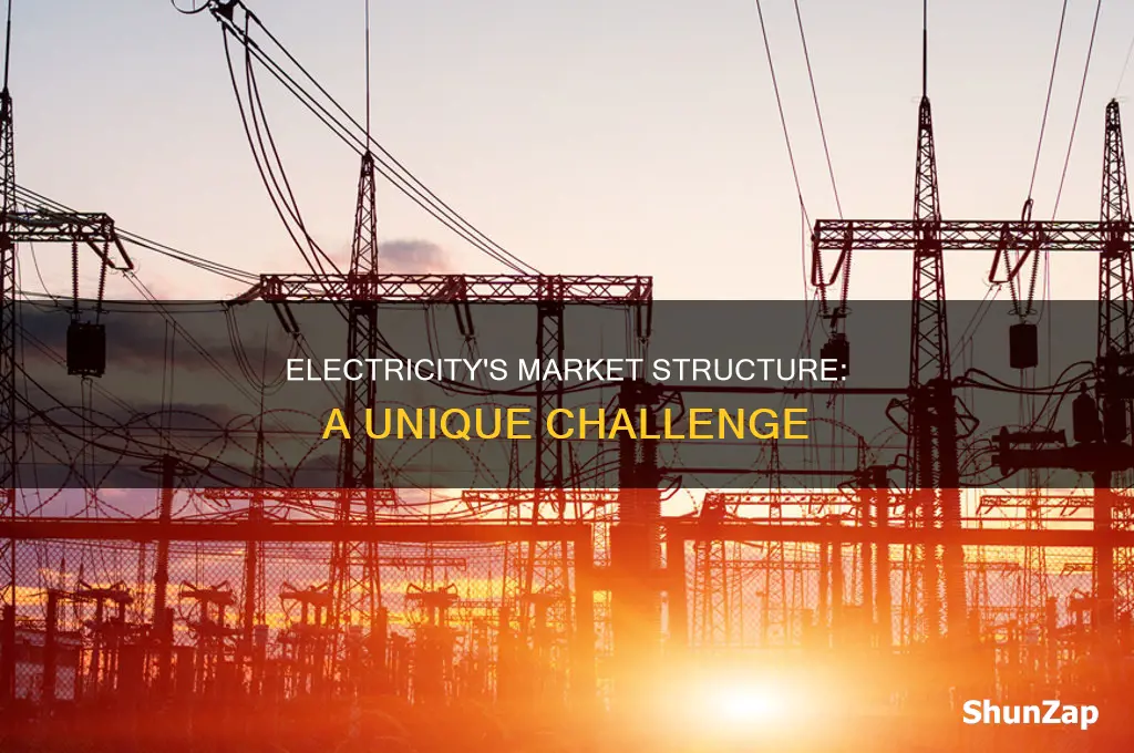 what type of market structure is electricity