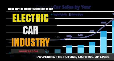 Exploring the Electric Car Industry's Market Structure: Oligopoly or Monopoly?