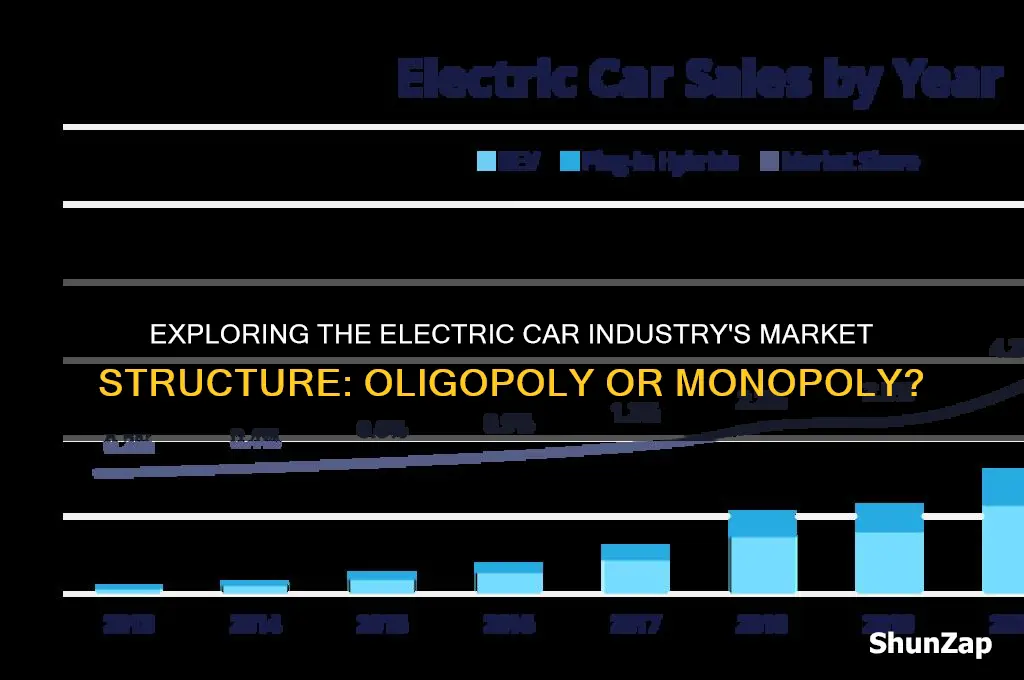 what type of market structure is the electric car industry