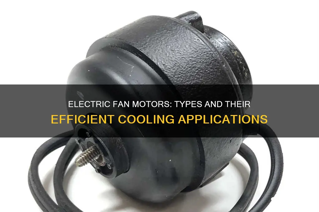 what type of motor is used in electric fan