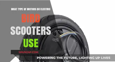 Electric Bird Scooter Motors: Types, Functionality, and Performance Explained