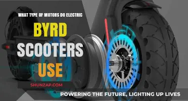 Electric Byrd Scooters: Unveiling the Motor Technology Powering Their Ride