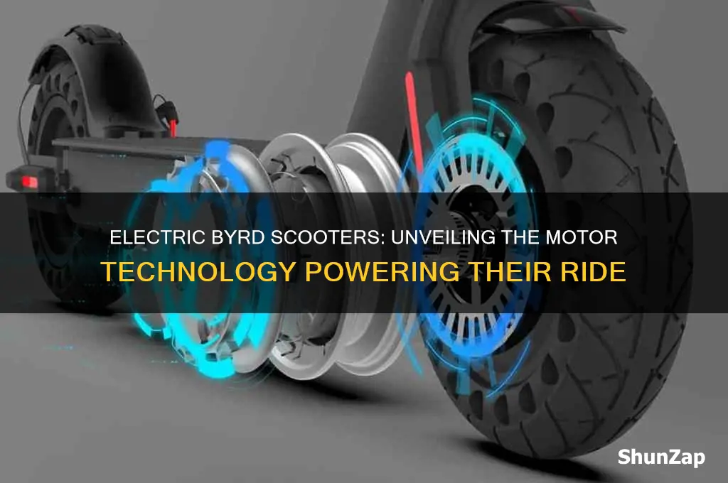 what type of motors do electric byrd scooters use