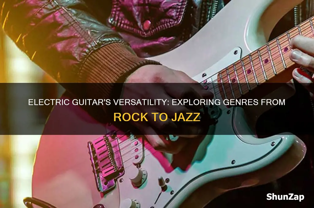 what type of music is the electric guitar used in