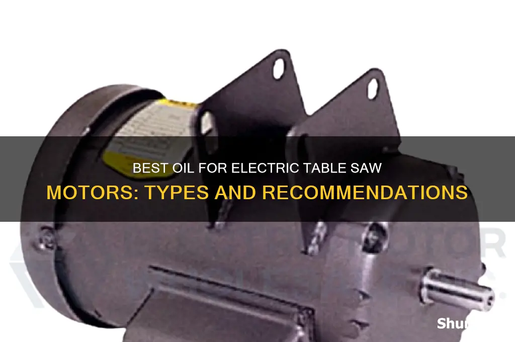 what type of oil is used in electric tablesaw motors