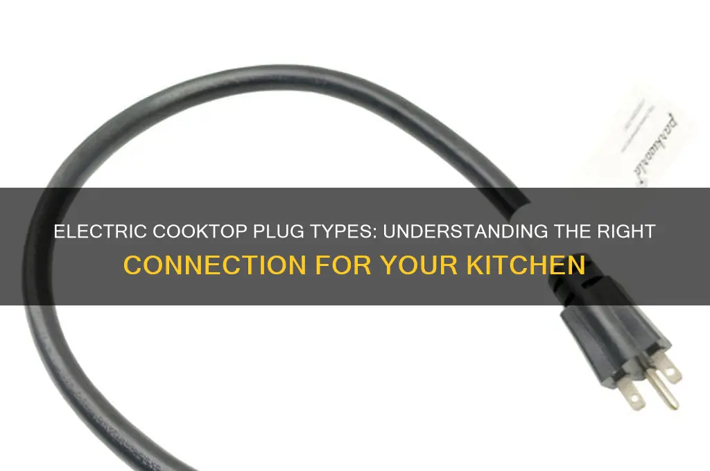 what type of plug does an electric cooktop use