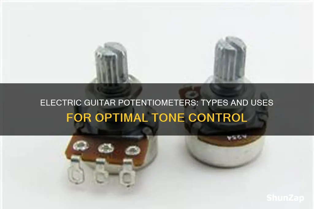 what type of pots are typically used in electric guitars