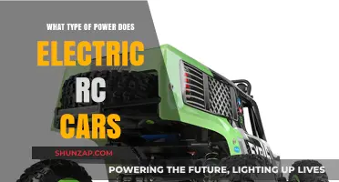 Electric RC Cars: Understanding the Power Types and Performance
