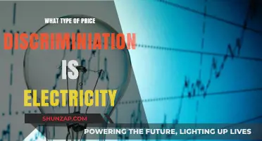 Electricity Pricing: A Complex Web of Price Discrimination