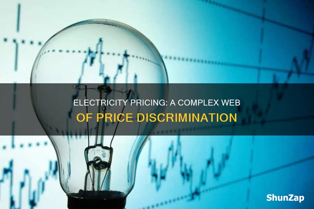 what type of price discriminiation is electricity