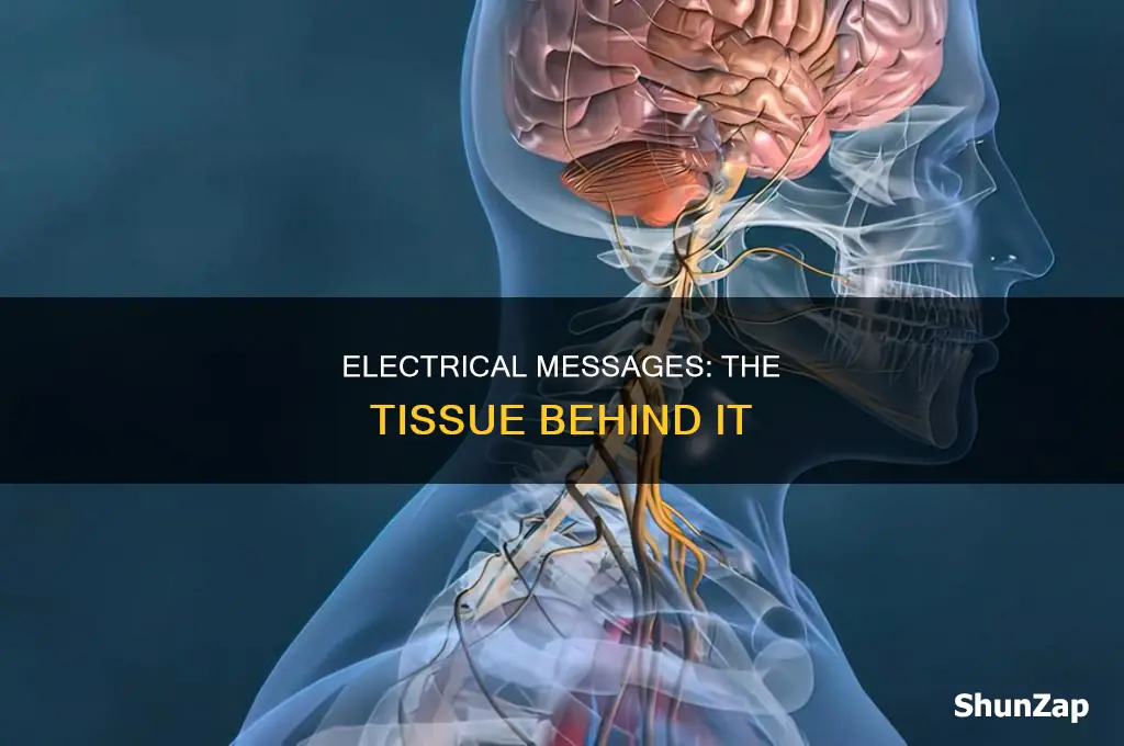 what type of tissue sends electrical messages