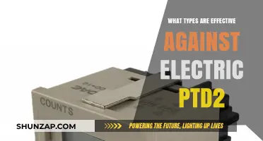 Effective Pokémon to Counter Electric-Types in PTD2