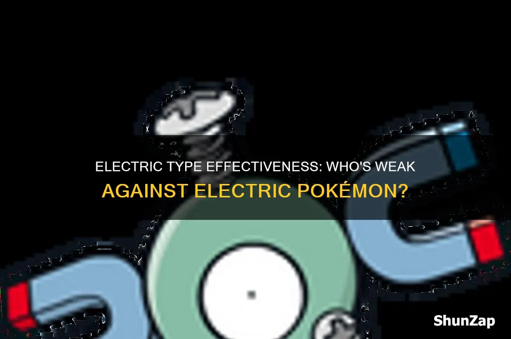 what types are weak against electric types