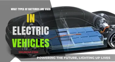 Exploring Electric Vehicle Battery Types: Powering the Future of Transportation