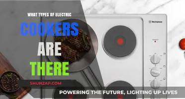 Electric Cookers: Types and Varieties for Your Kitchen