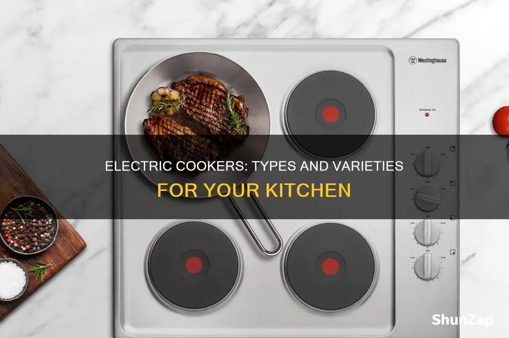 what types of electric cookers are there