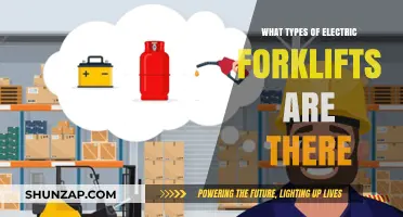 Electric Forklift Options: Exploring the Different Types