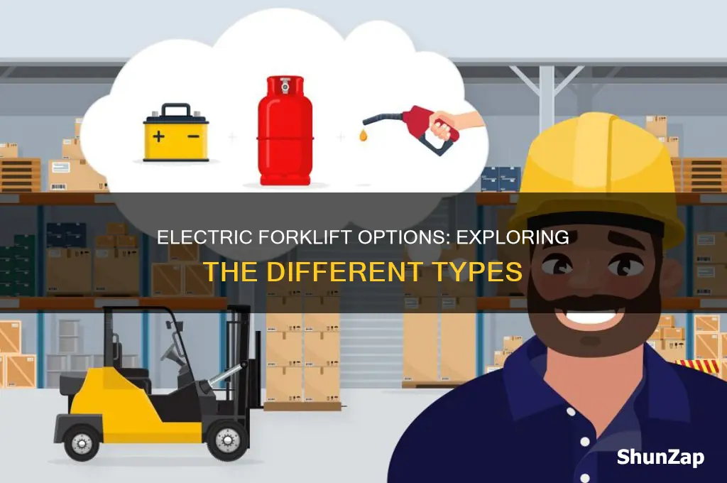 what types of electric forklifts are there