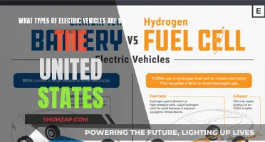 Exploring the US Electric Vehicle Landscape: Types and Trends