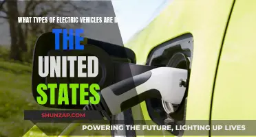 Electric Vehicles in the US: Exploring the Diverse Options