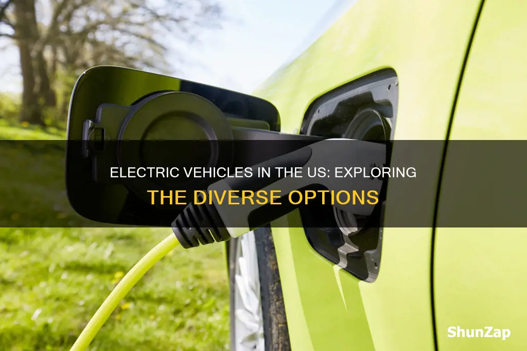 what types of electric vehicles are in the united states
