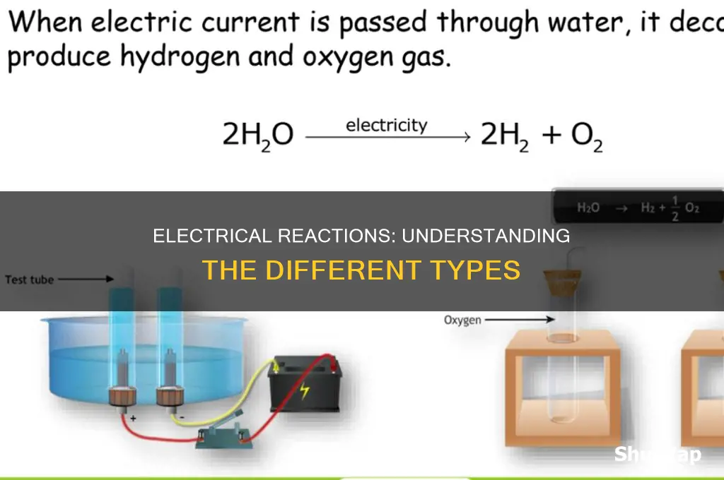 what types of electrical reactions are there