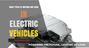 Exploring Electric Vehicle Motors: Types and Applications in EVs