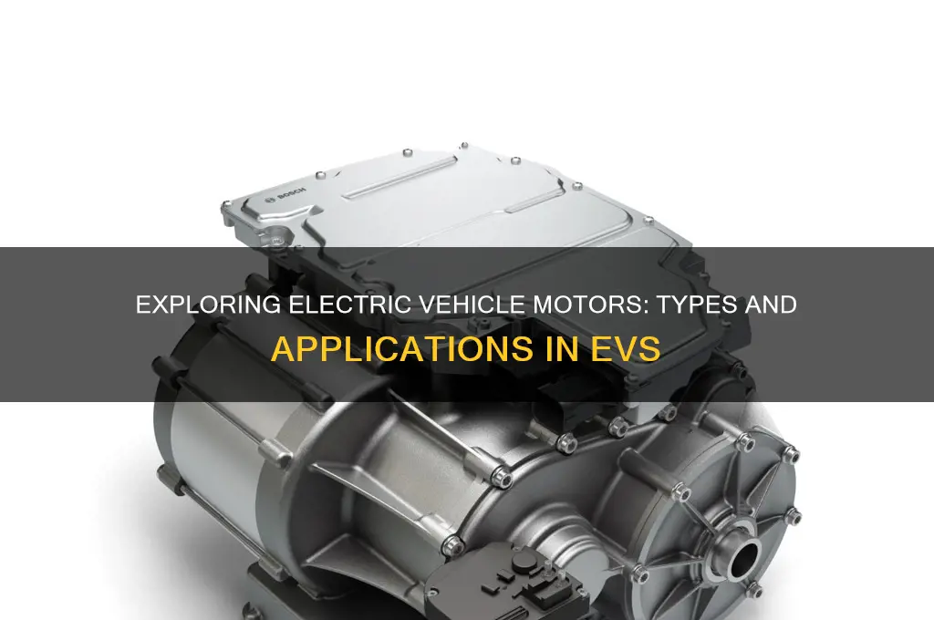 what types of motors are used in electric vehicles