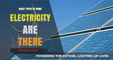 Exploring the Diverse Landscape of Wind Electricity