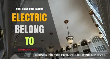 Tannor Electric: Union Membership and Its Benefits