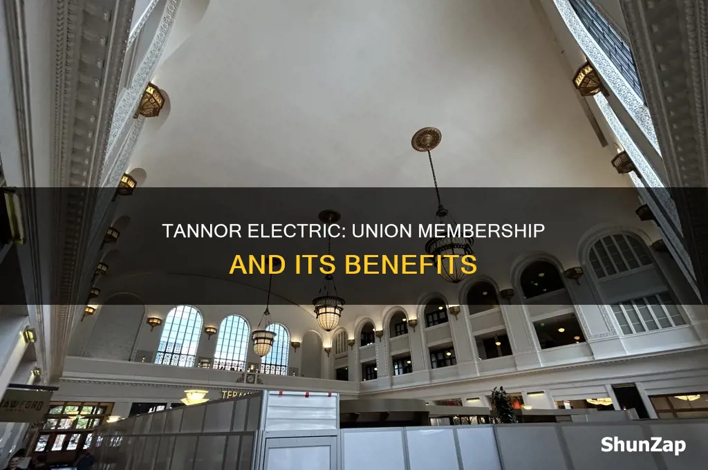 what union does tannor electric belong to