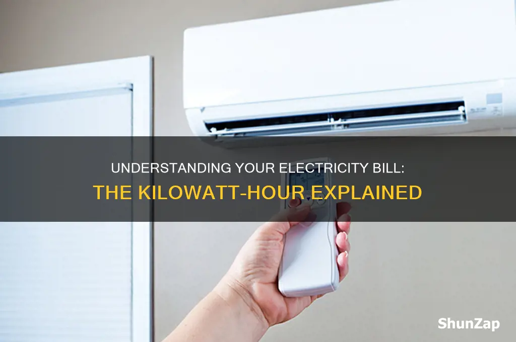 what unit is household electricity measured in