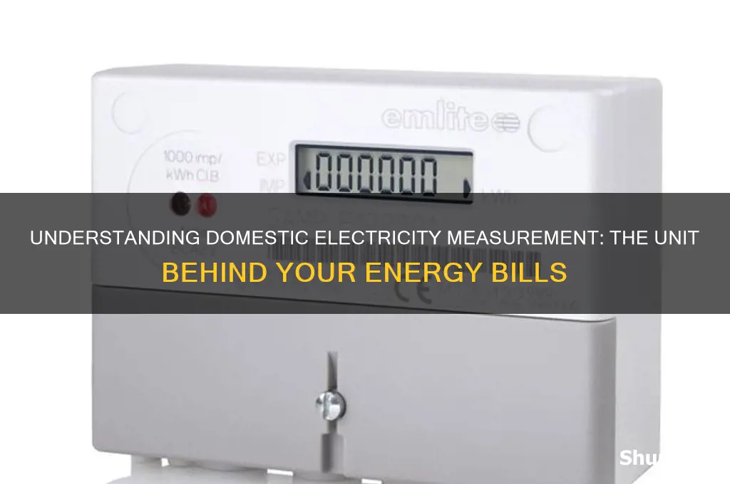 what unit is used to measure domestic electricity usage