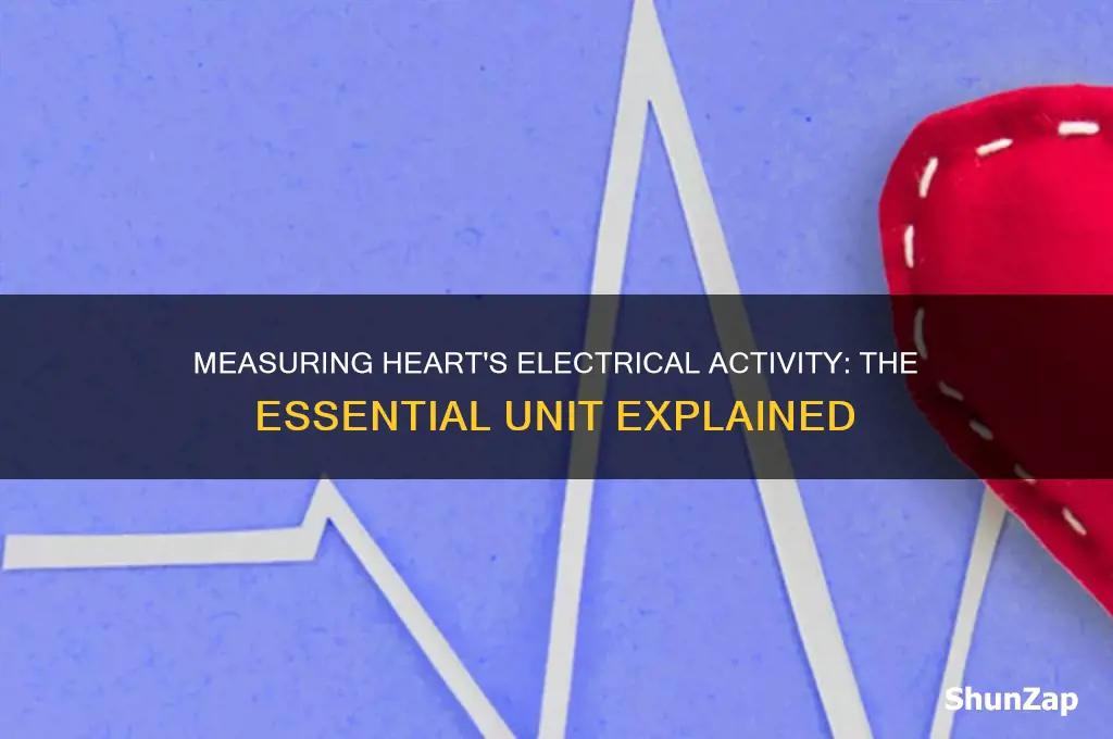 what unit is used to measure heart